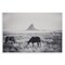 Stupell Industries Western Range with Horses Wall Plaque By Nathan Larson